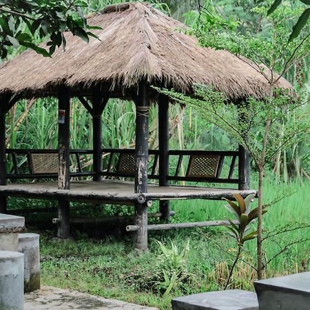 Tiara Homestay Plambi Ngoại thất bức ảnh