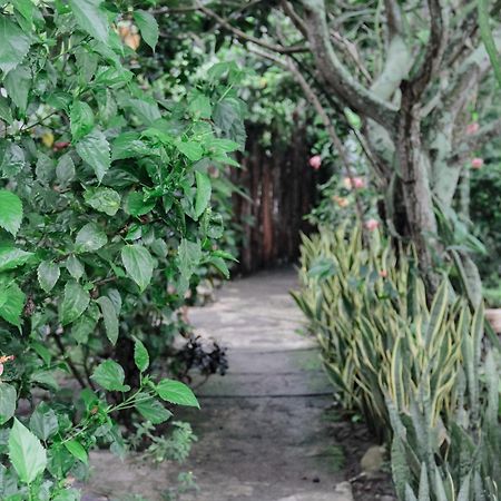 Tiara Homestay Plambi Ngoại thất bức ảnh