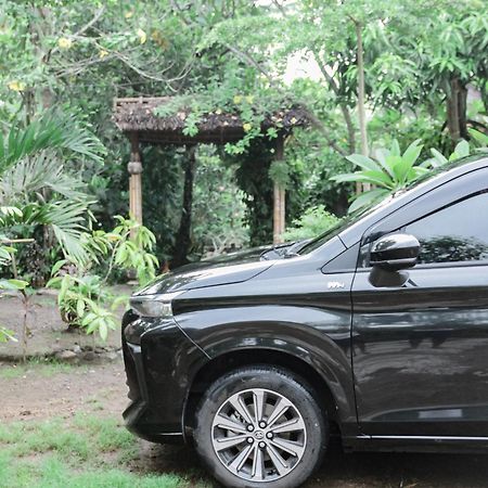 Tiara Homestay Plambi Ngoại thất bức ảnh