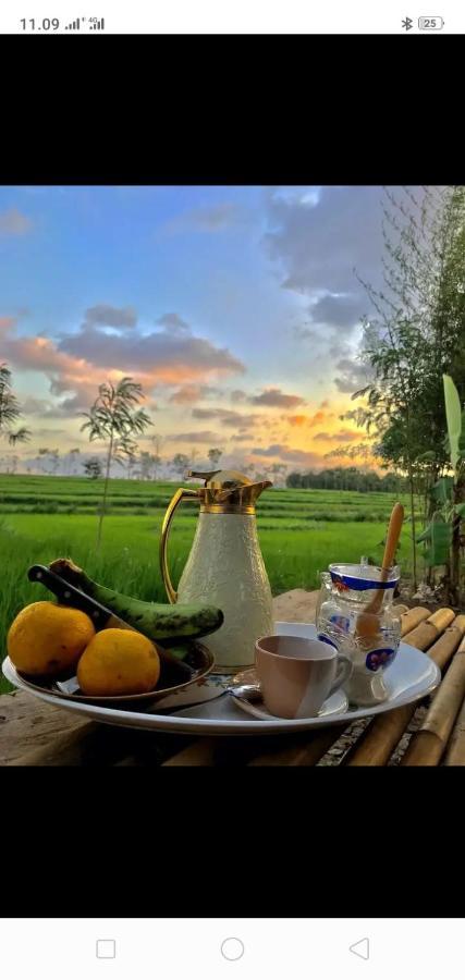 Tiara Homestay Plambi Ngoại thất bức ảnh