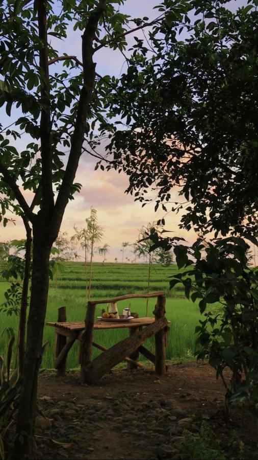 Tiara Homestay Plambi Ngoại thất bức ảnh