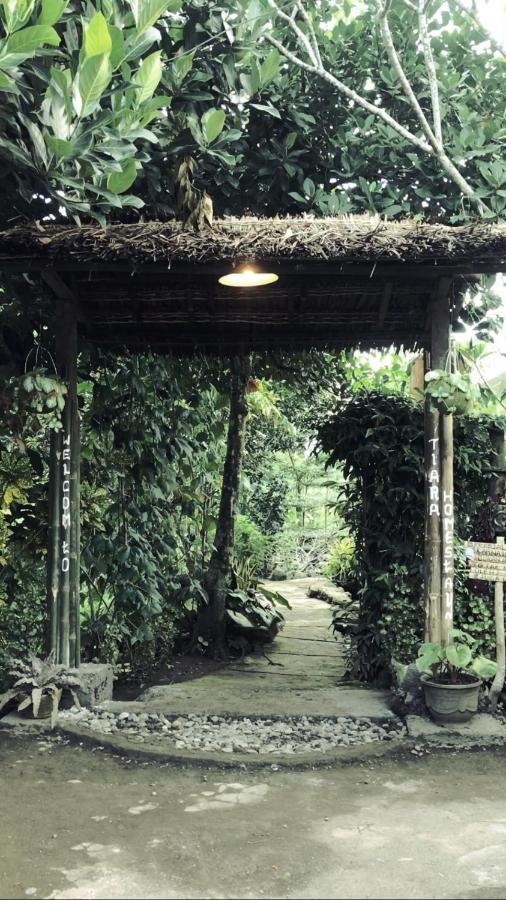 Tiara Homestay Plambi Ngoại thất bức ảnh