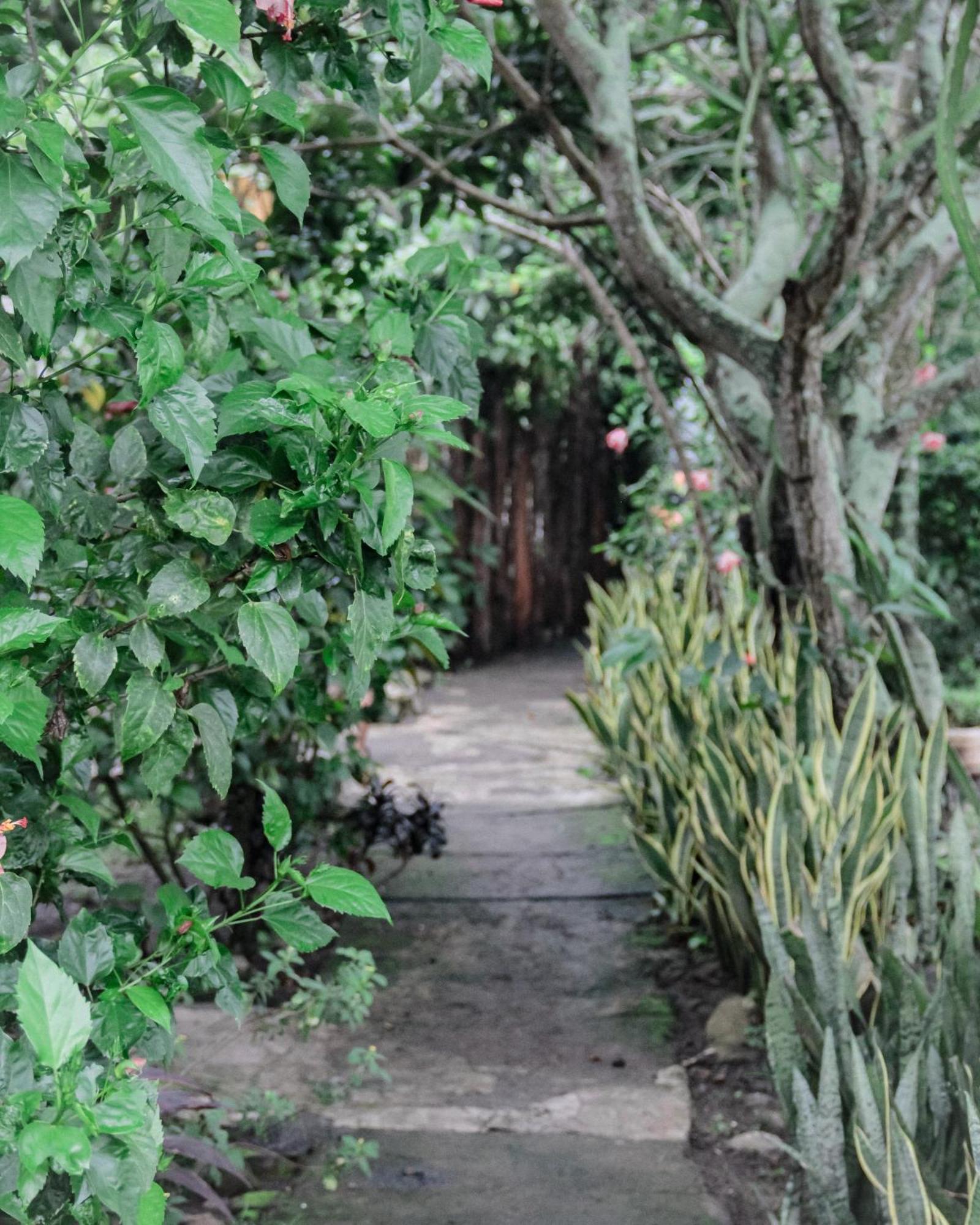 Tiara Homestay Plambi Ngoại thất bức ảnh